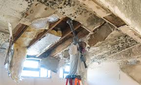 Best Water Damage & Mold Remediation  in Sedalia, MO